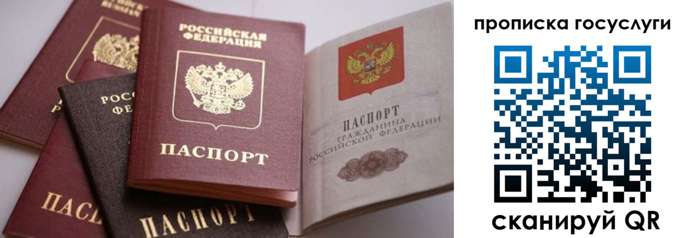 прописка иностранных граждан в Камышлове